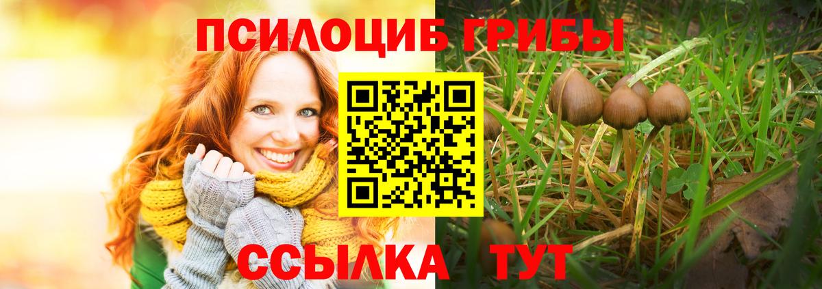 Псилоцибиновые грибы Magic Shrooms Светлоград