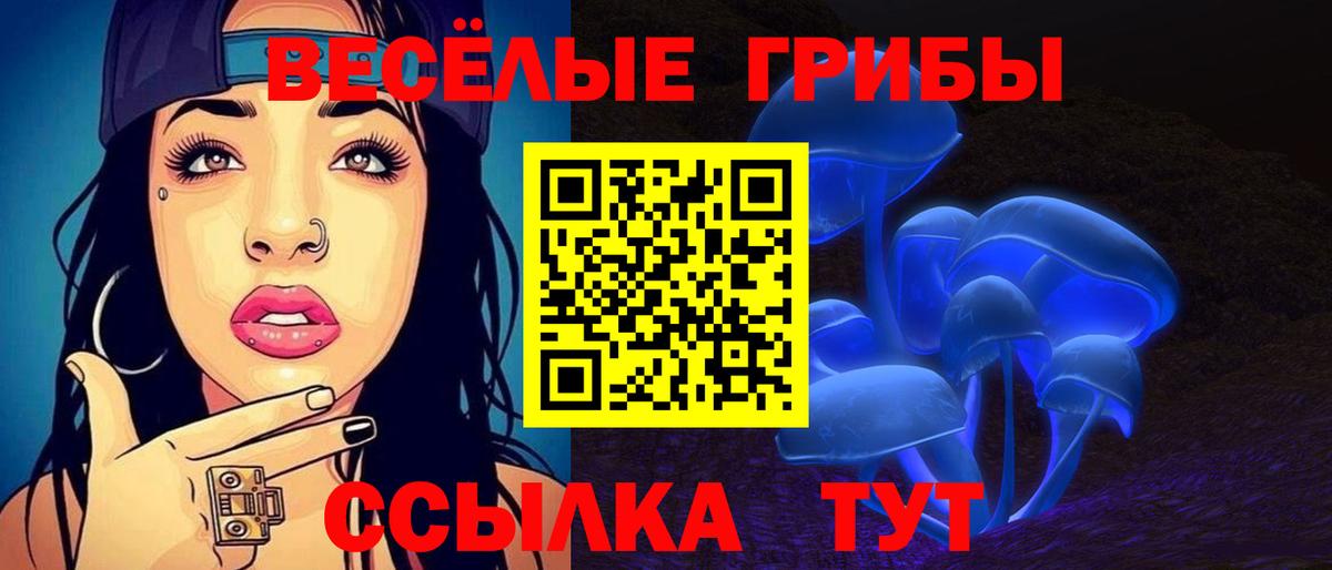 Светлоград  Галлюциногенные грибы Psilocybine cubensis  продажа наркотиков  Вход с VPN  Галлюциногенные грибы ЛСД 